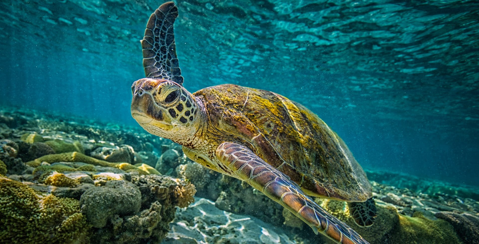 The UN Sustainable Development goals and Impact Investing at AllianzGI