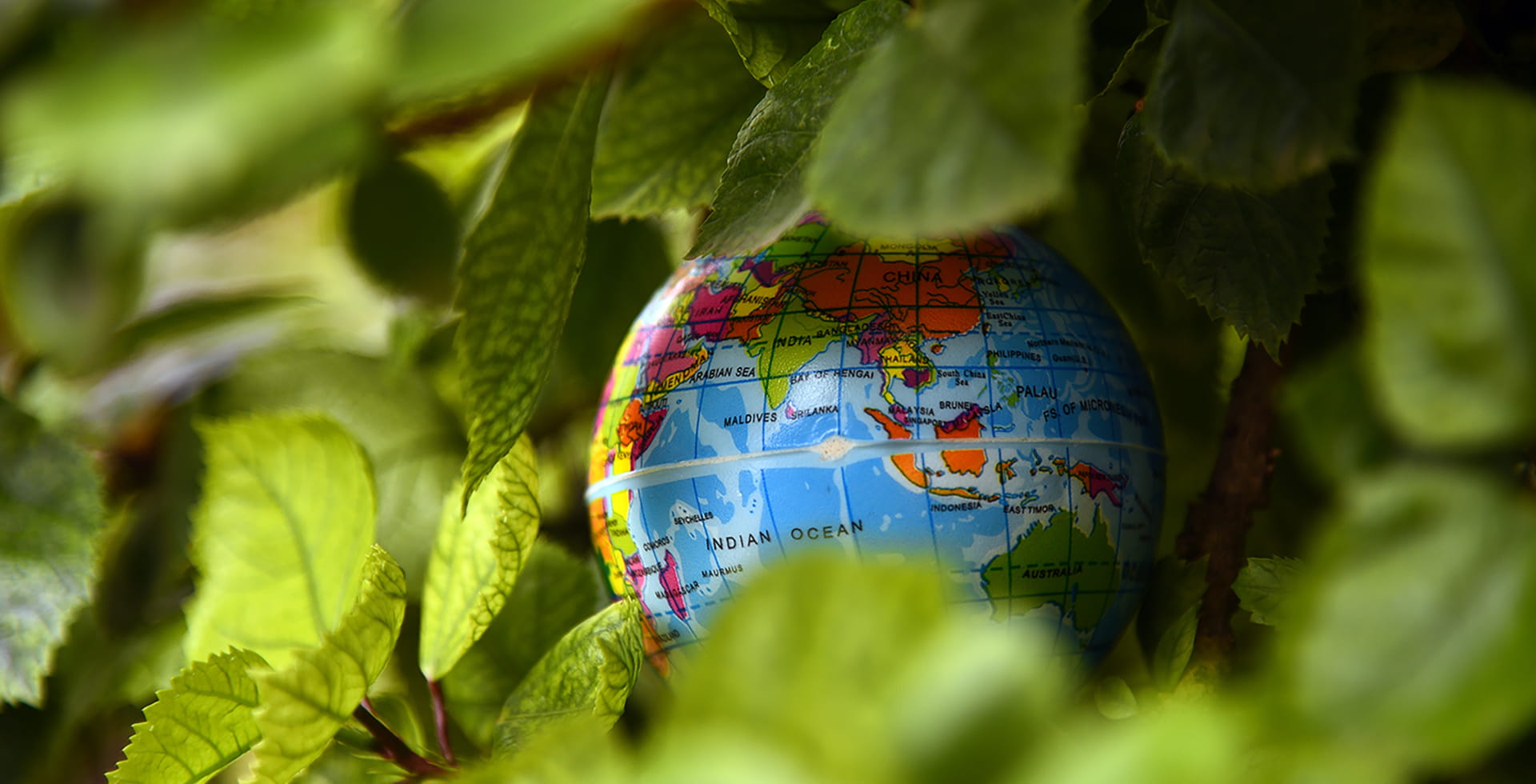 SDGs include zero hunger, affordable and clean energy, decent work, economic growth, reduced inequality